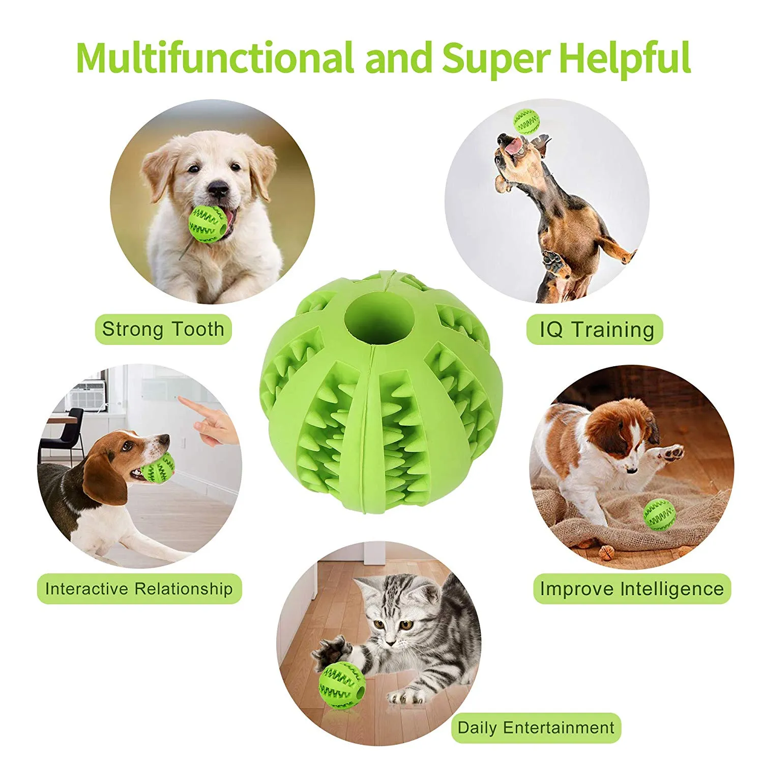 Retractable Dog Leash